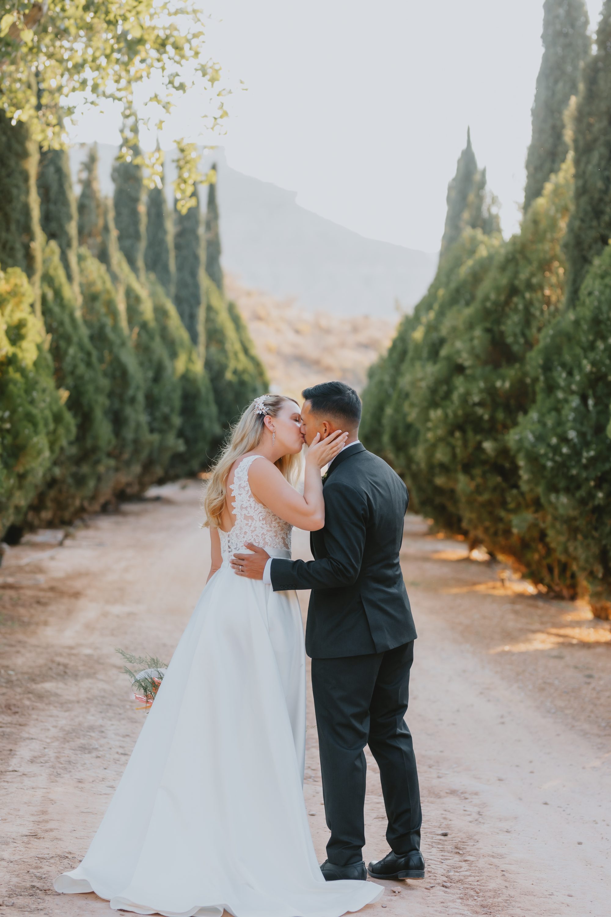 Kate and Manny cypress tree portrait Southern Utah wedding